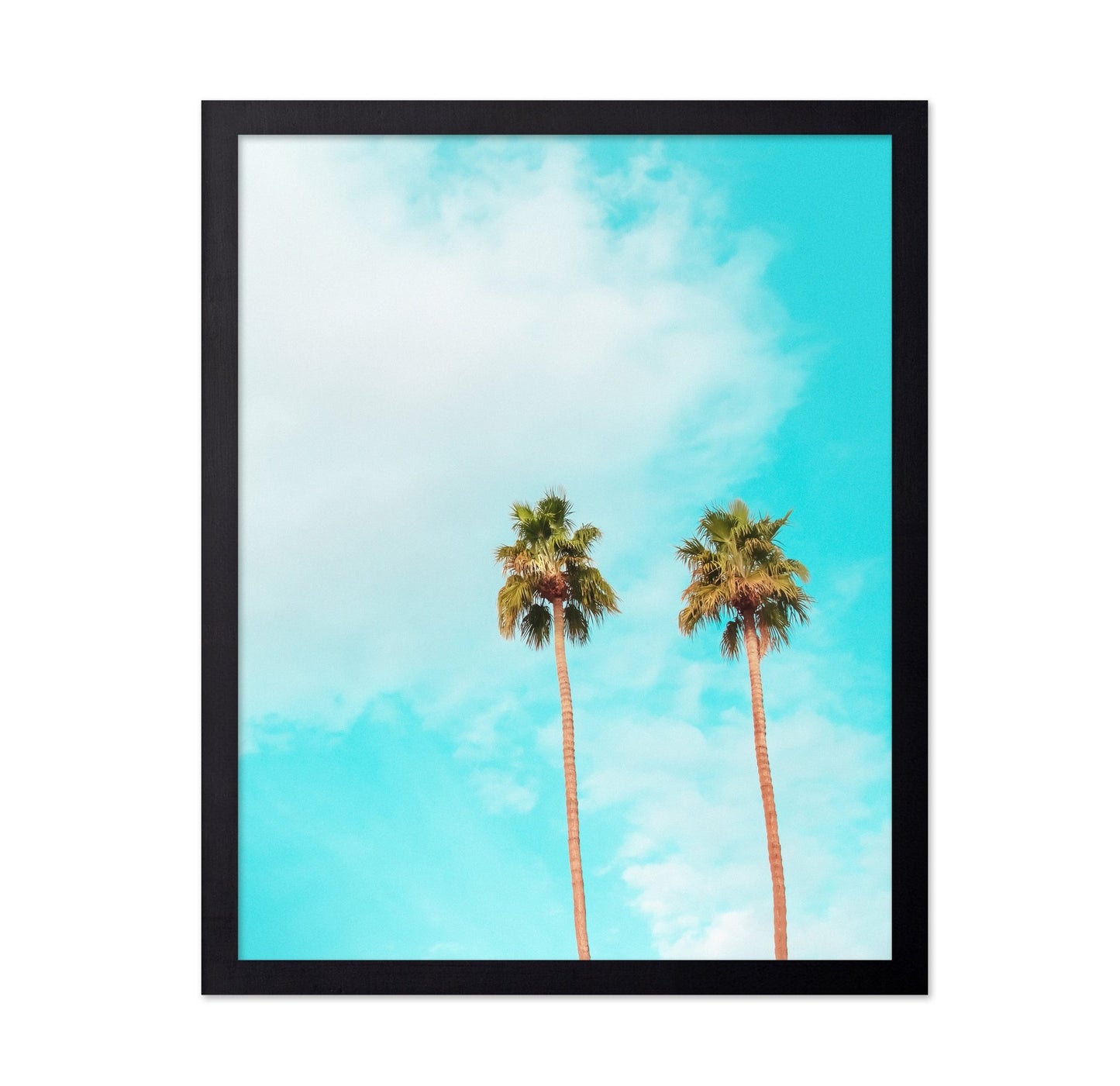 Twin Palm Trees