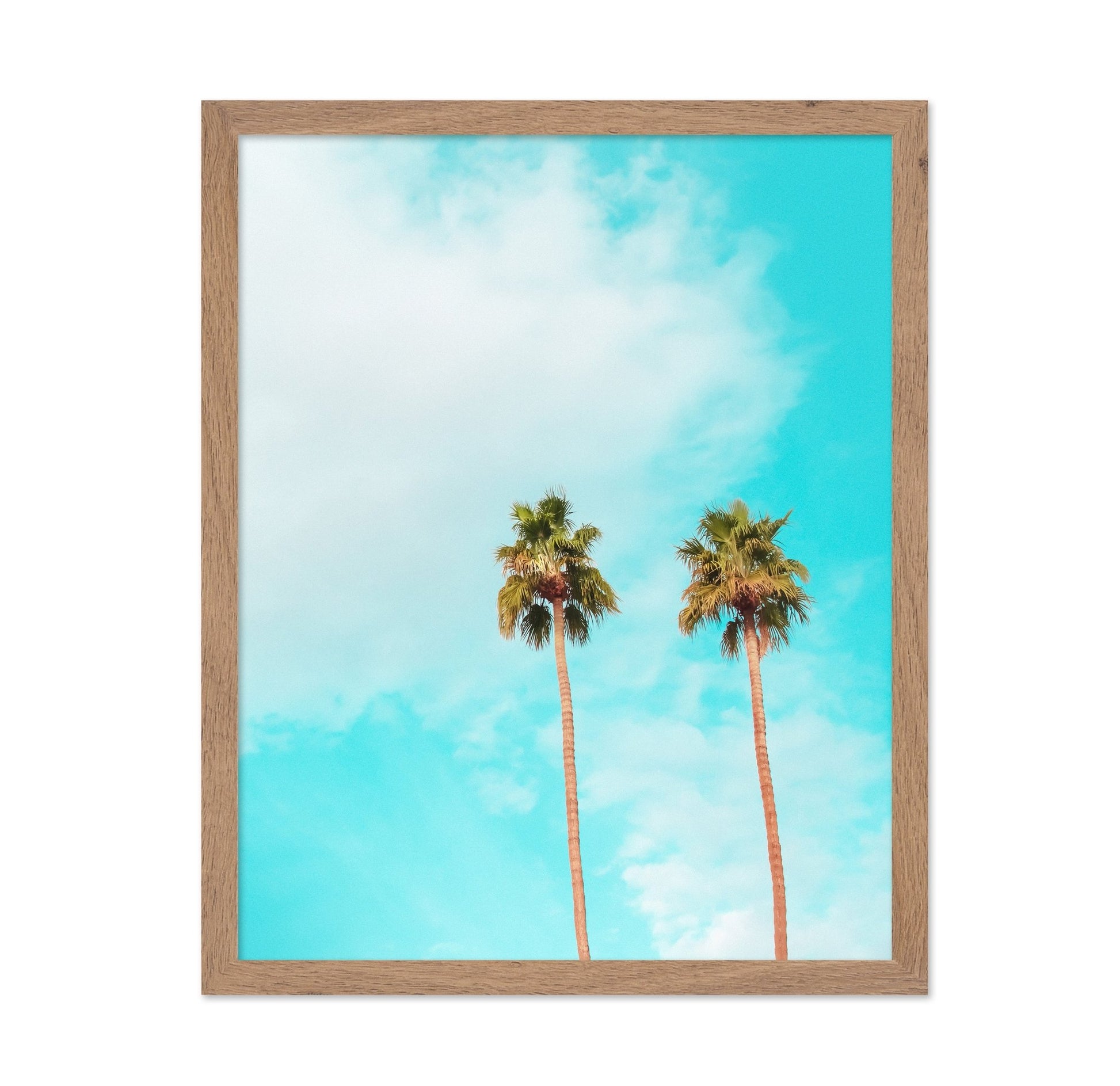 Twin Palm Trees