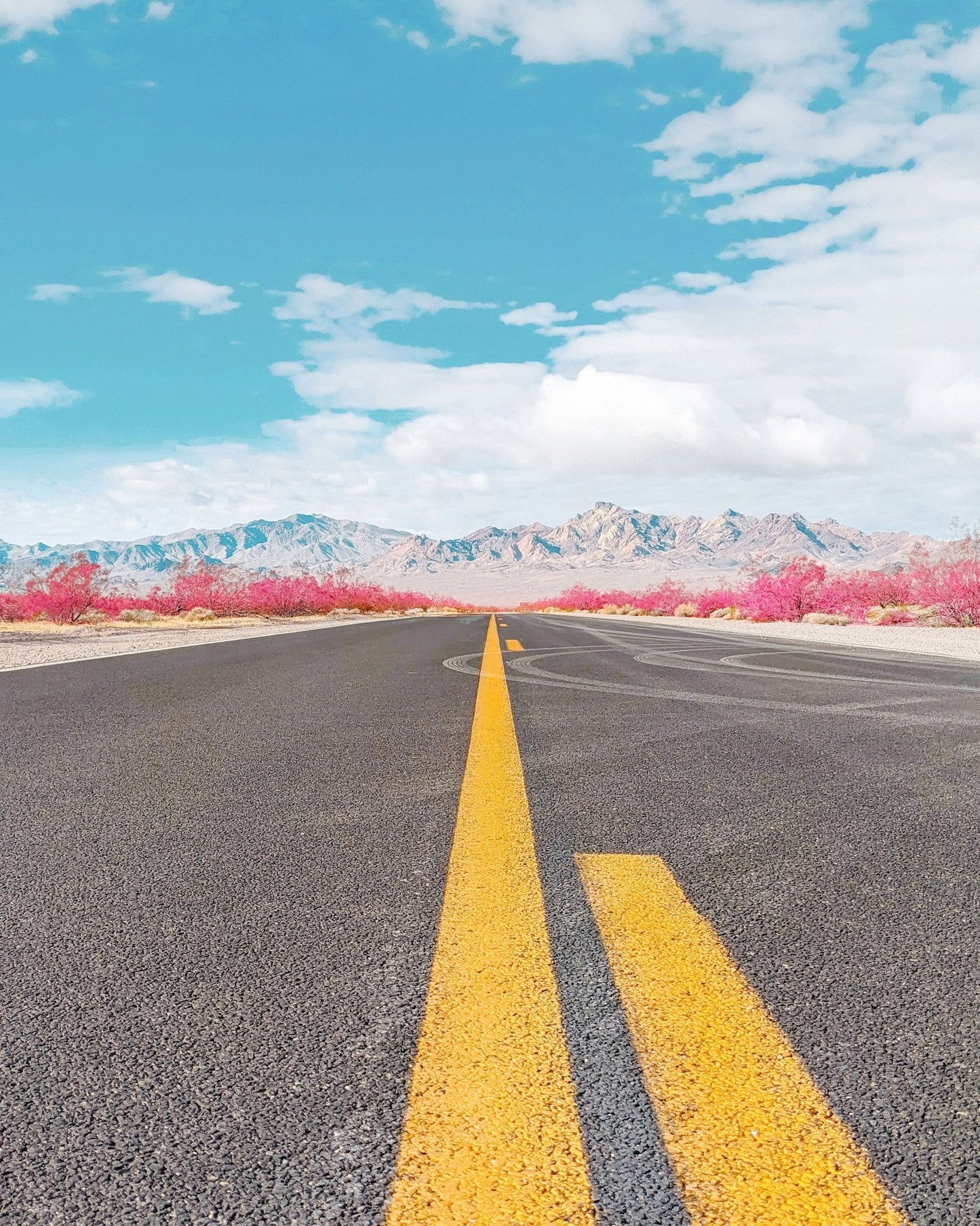 Desert Road Horizon