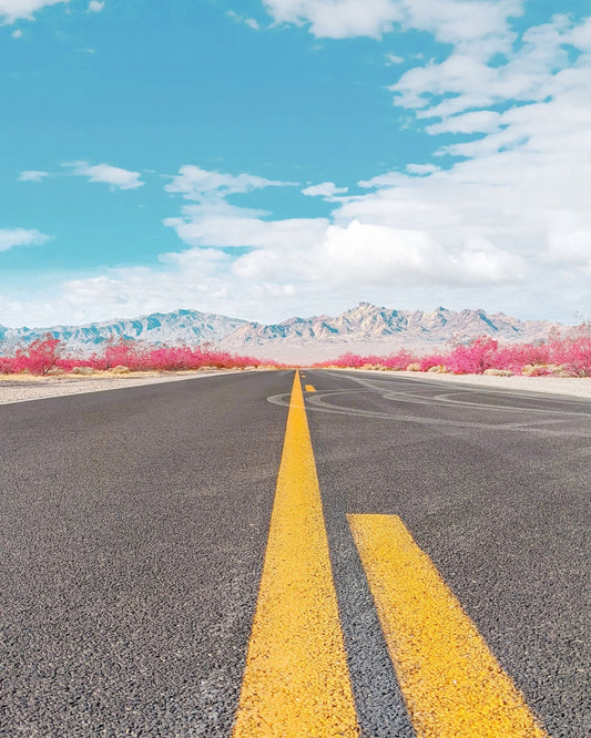 Desert Road Horizon