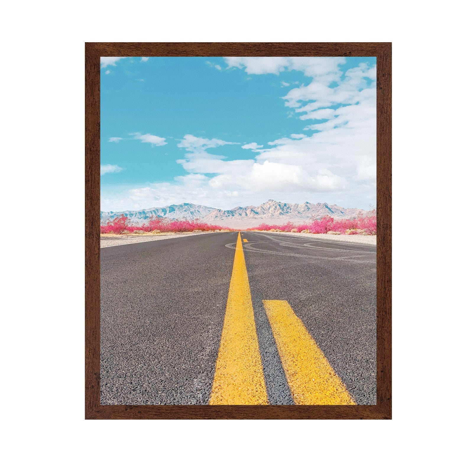Desert Road Horizon
