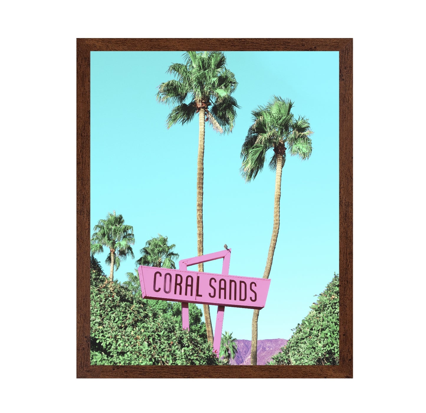 Coral Sands Palms