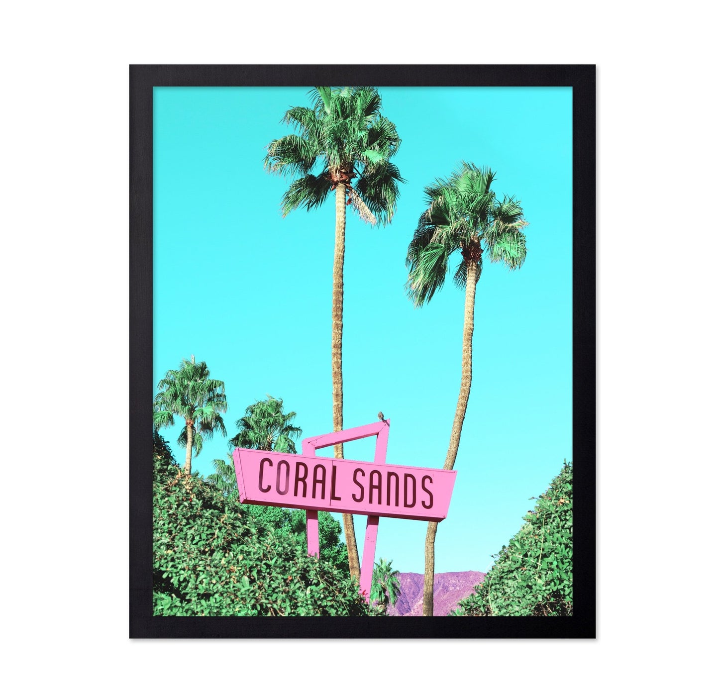 Coral Sands Palms