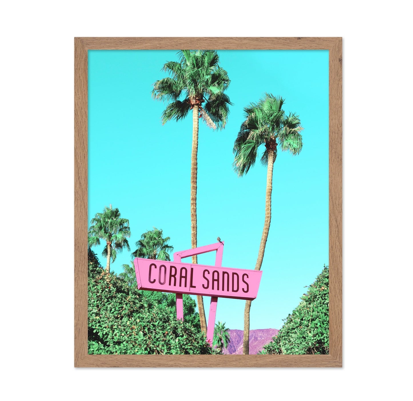 Coral Sands Palms