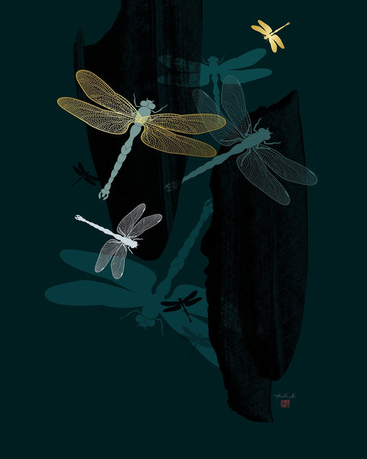 Dragonfly Night Flight