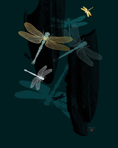 Dragonfly Night Flight