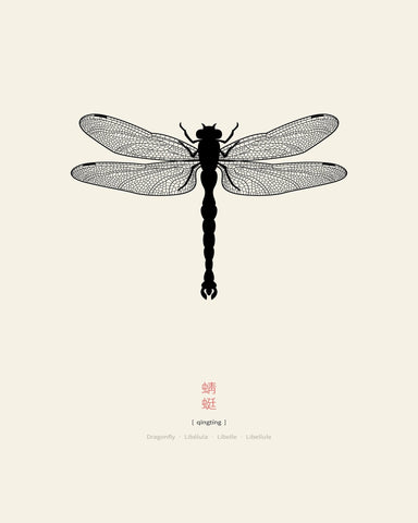 Minimal Dragonfly Silhouette