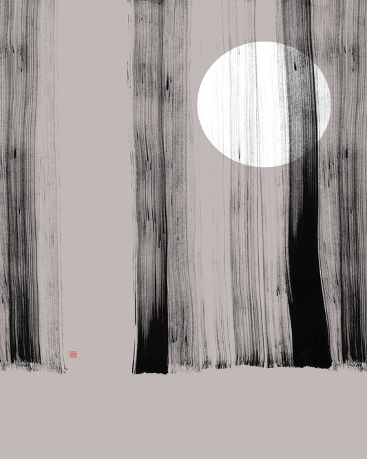 Silent Forest Lines