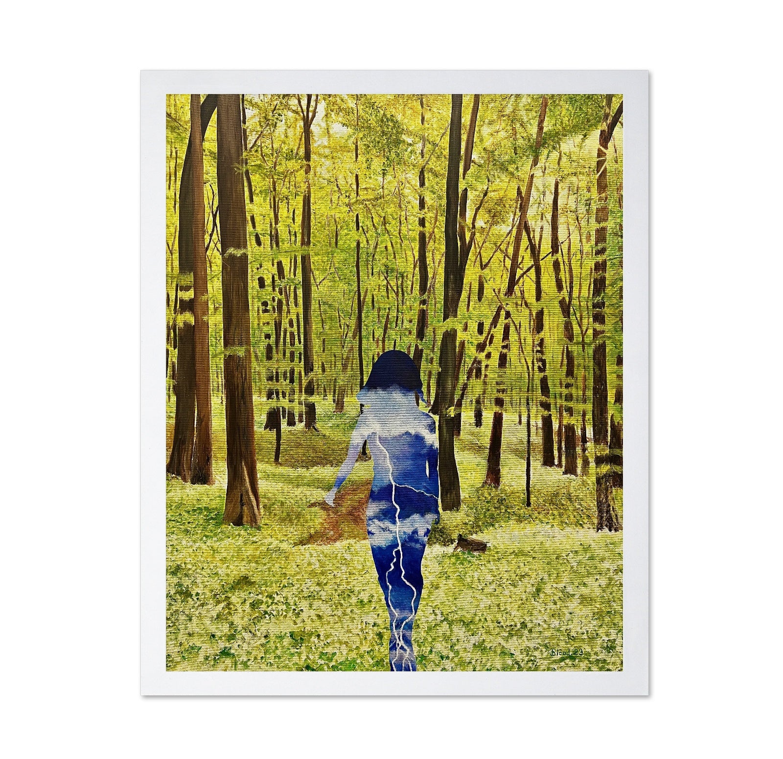 Sky Body In Forest