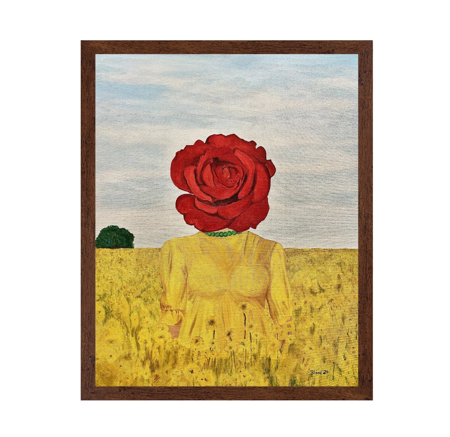 Rose Head Field