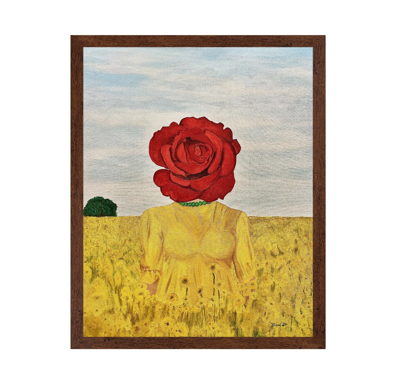 Rose Head Field