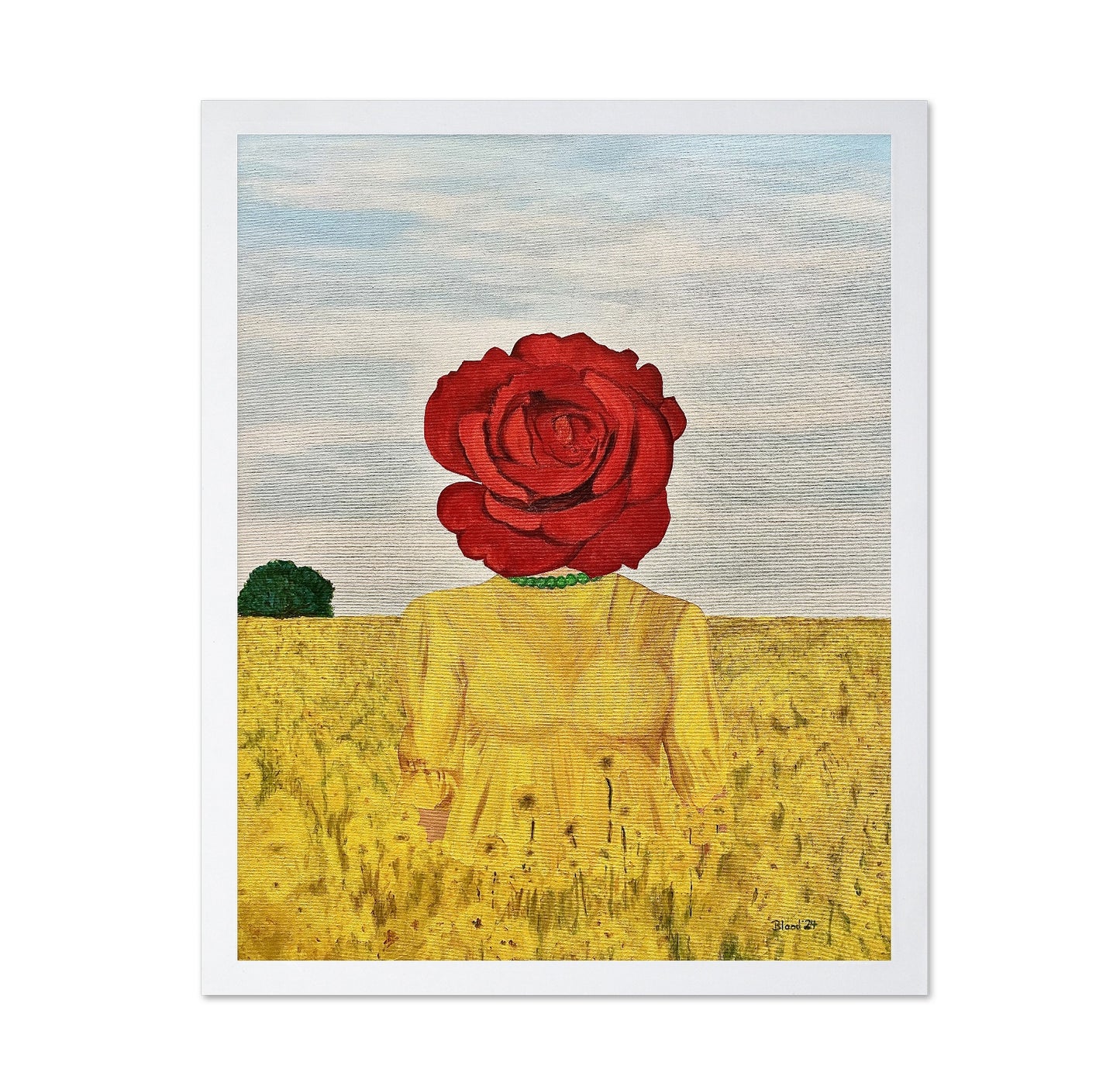 Rose Head Field