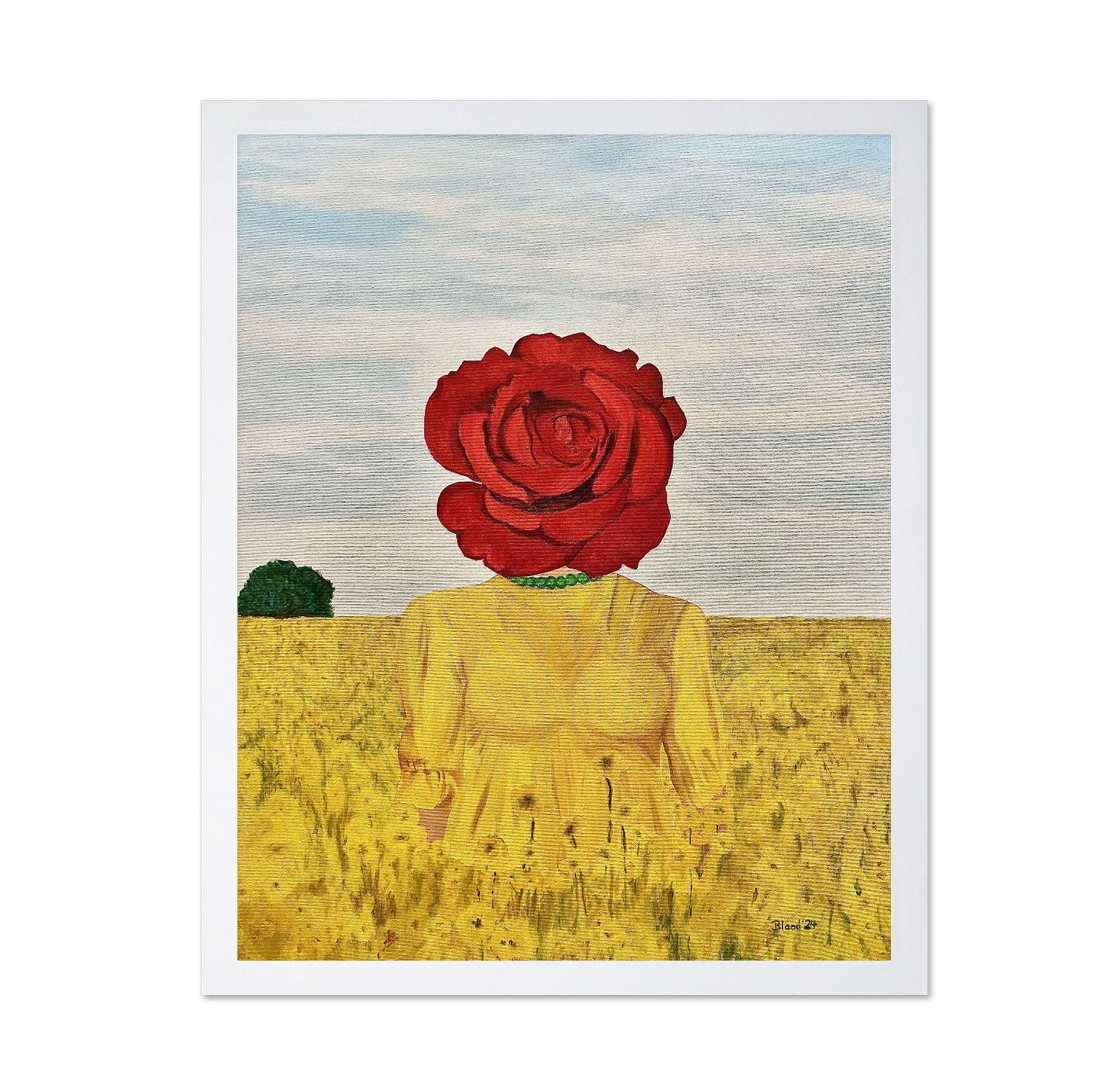 Rose Head Field