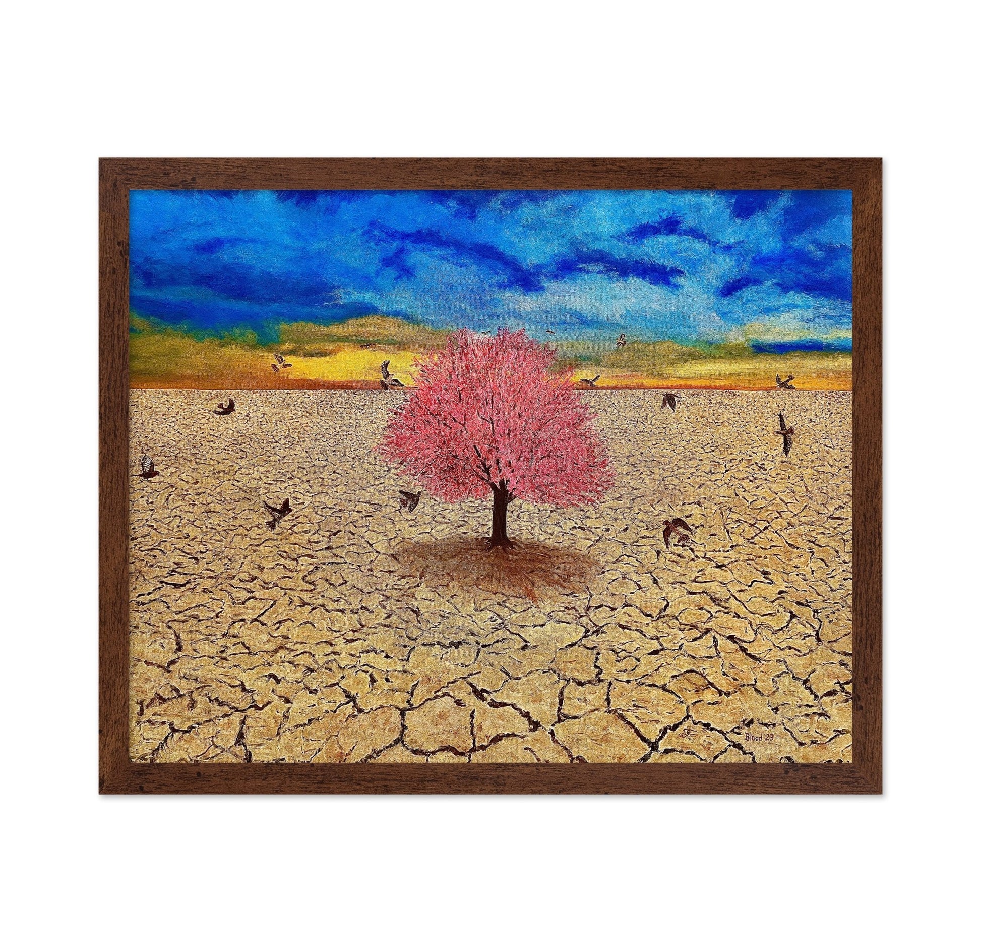 Lone Bloom Desert