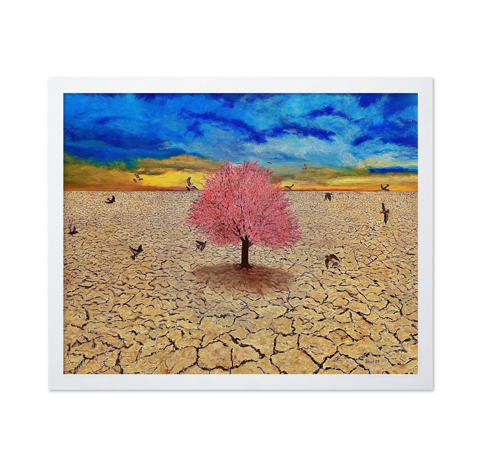 Lone Bloom Desert
