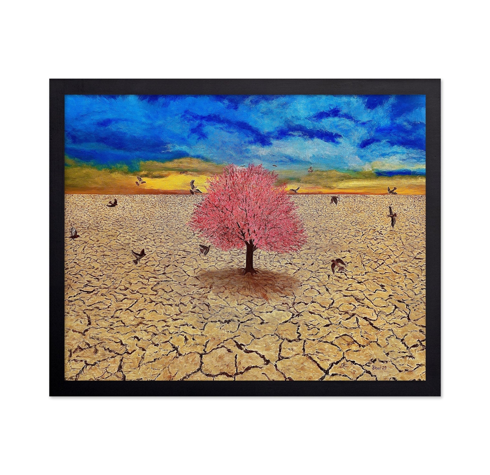 Lone Bloom Desert