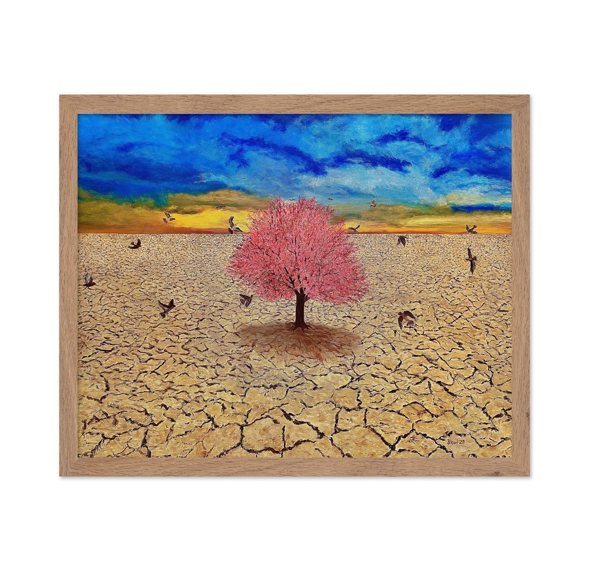 Lone Bloom Desert