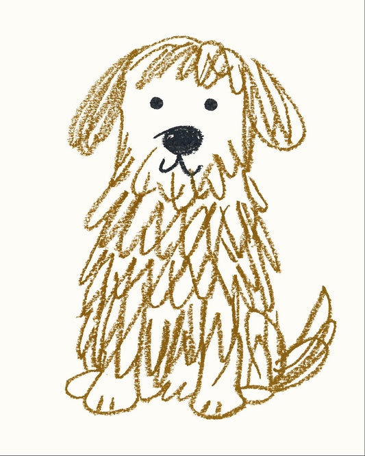 Shaggy Dog Sketch