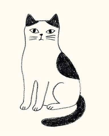Minimal Cat Sketch