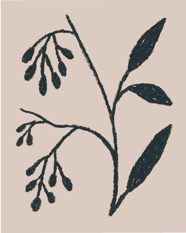 Simple Botanical Sketch