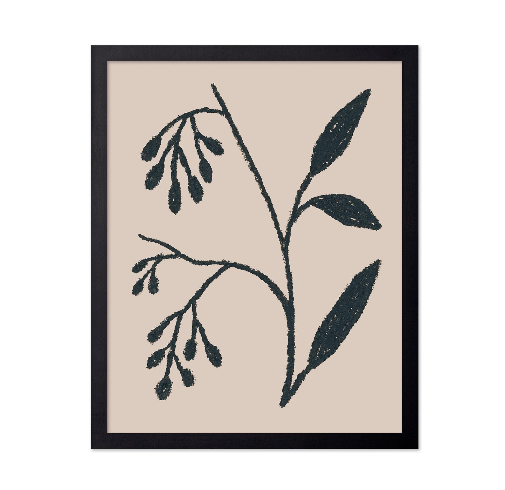 Simple Botanical Sketch