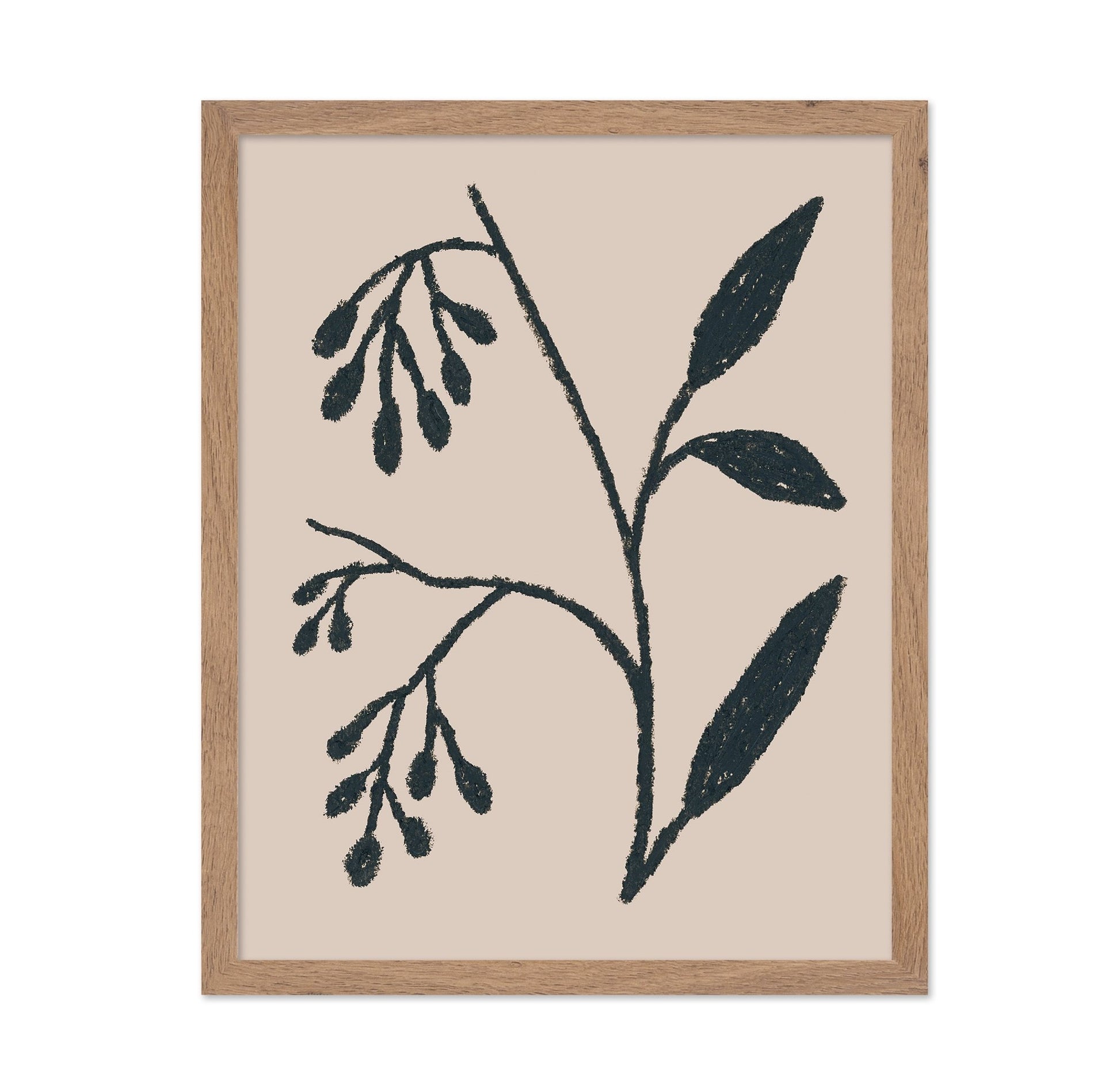 Simple Botanical Sketch