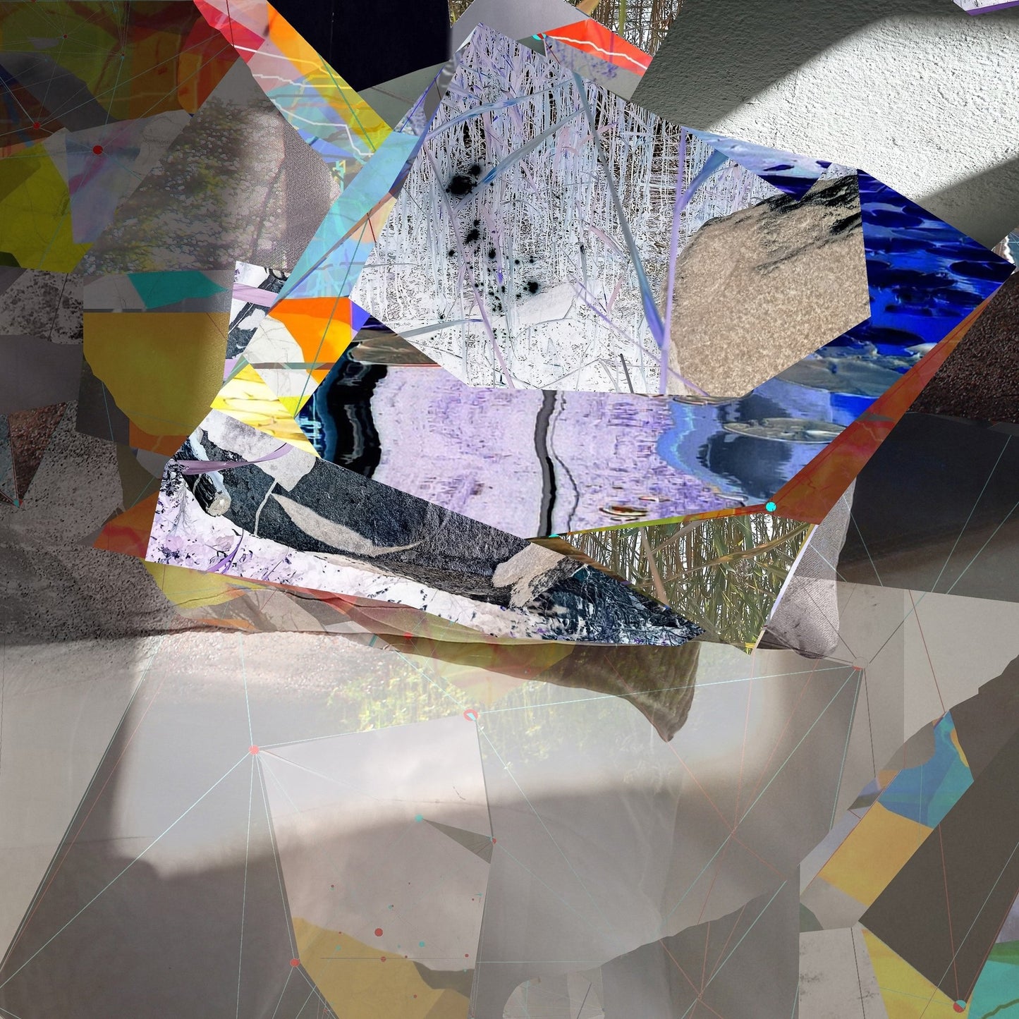 Fragmented Nature Collage