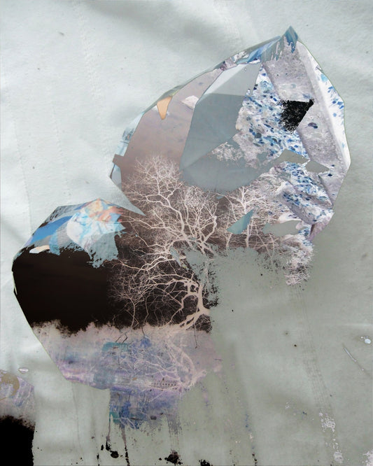 Fragmented Forest Dream