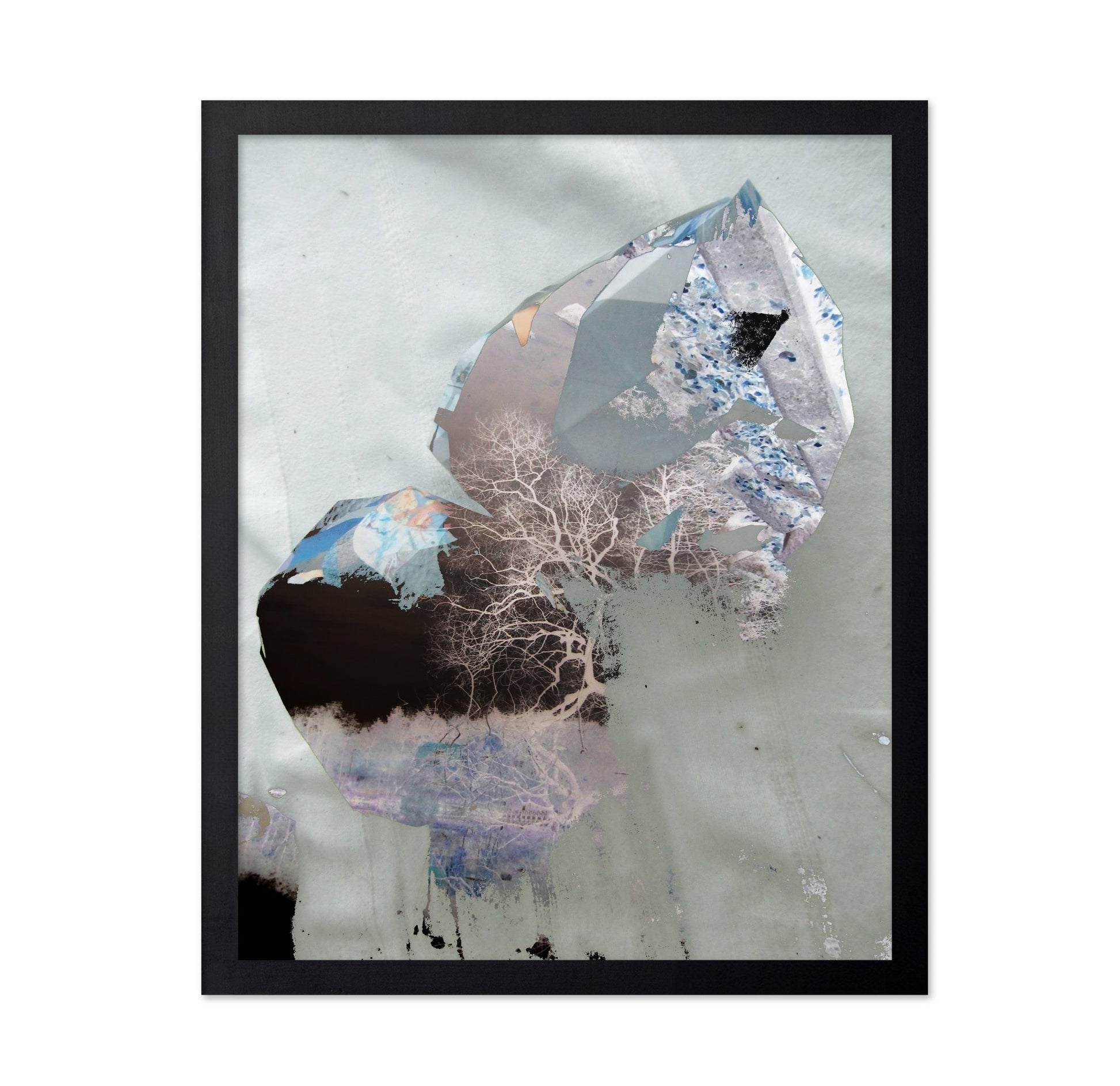 Fragmented Forest Dream
