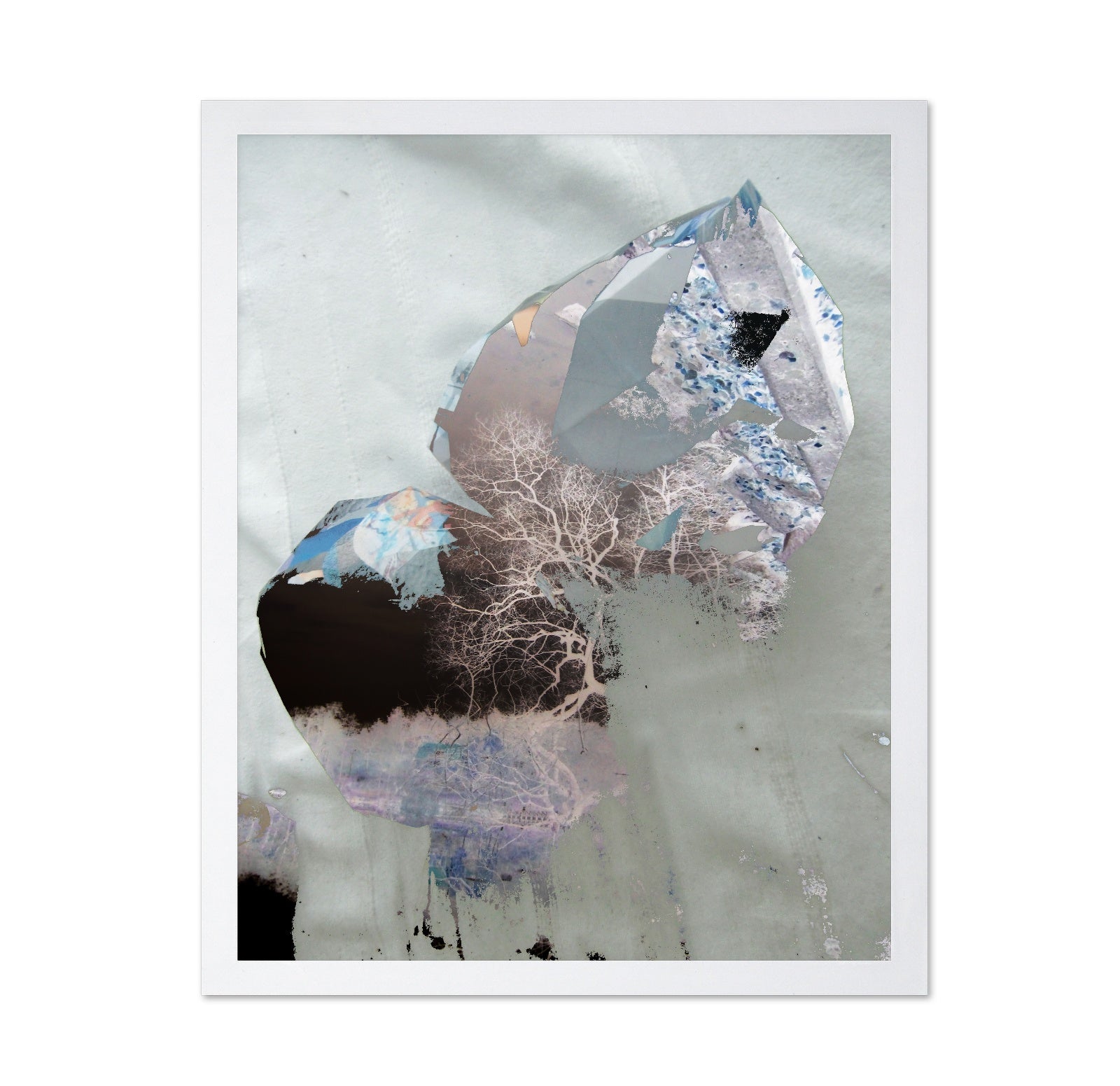 Fragmented Forest Dream