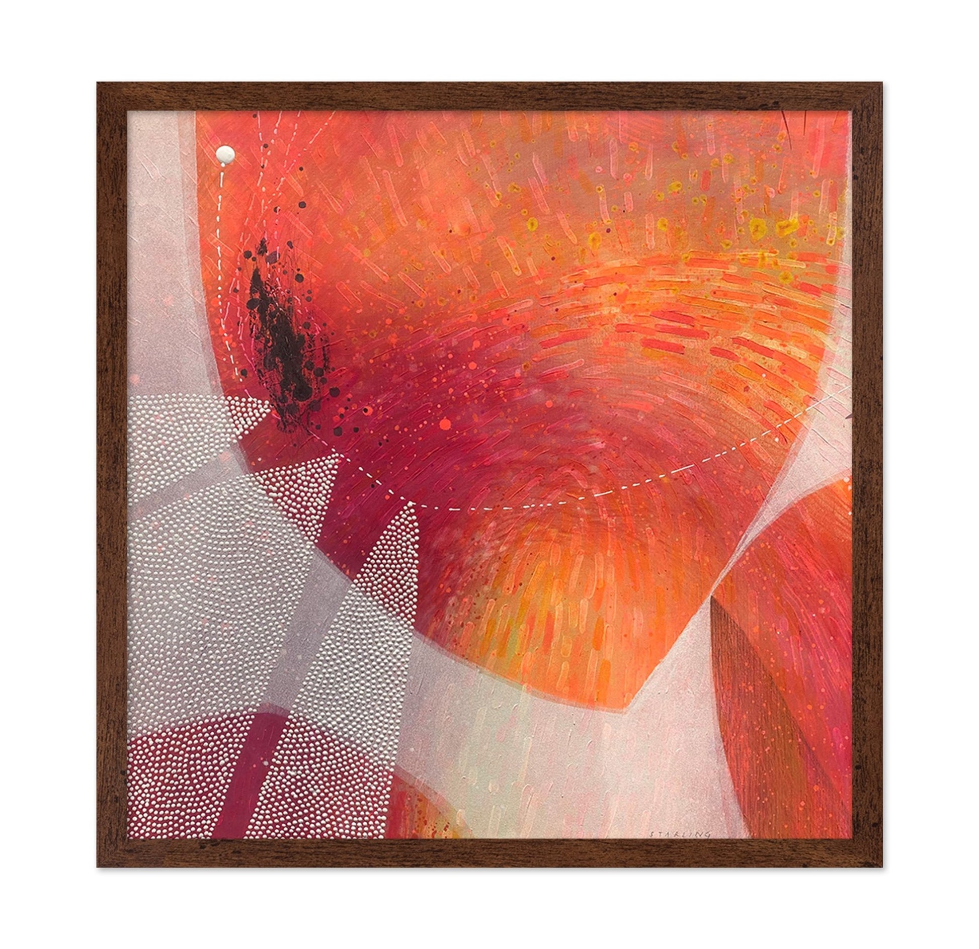 Warm Abstract Petals