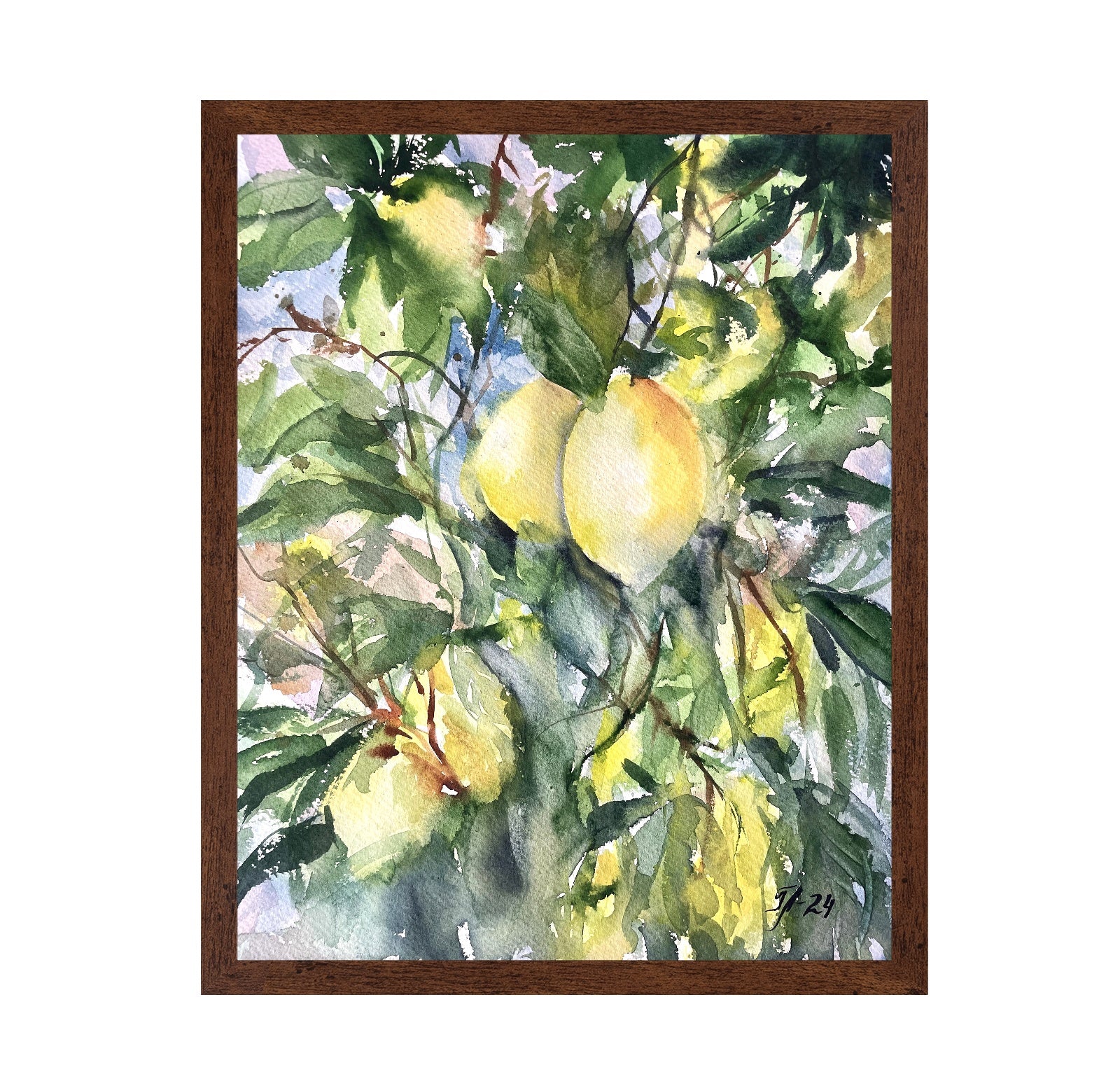Lemon Tree Light