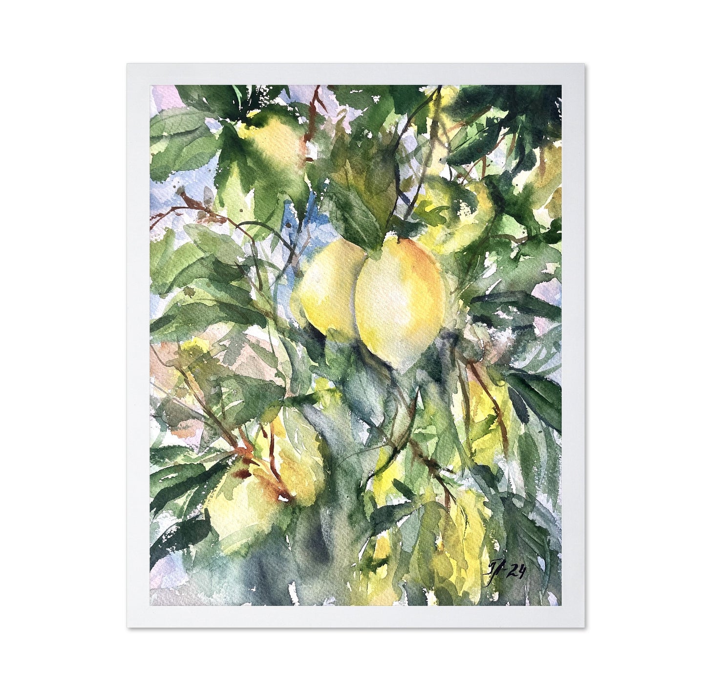 Lemon Tree Light