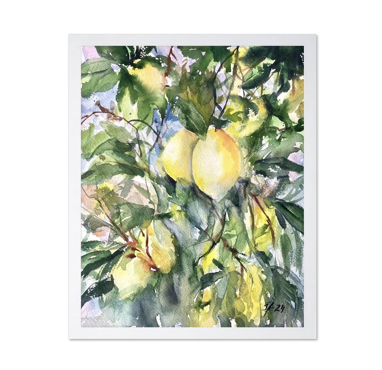 Lemon Tree Light
