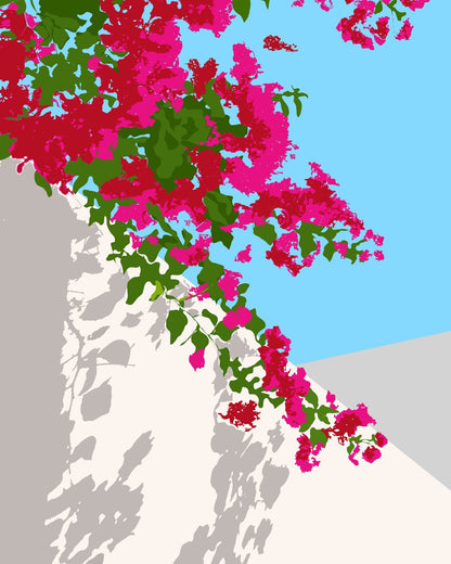 Bougainvillea Wall View