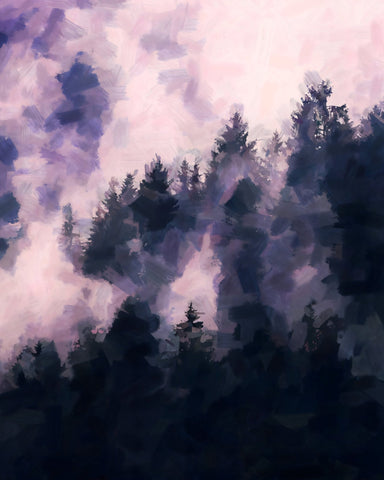 Misty Pine Forest No4