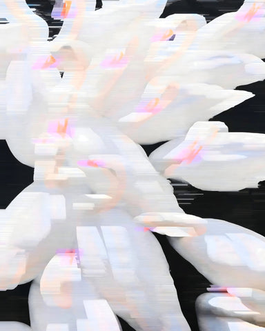 Glitched Orchid Bloom