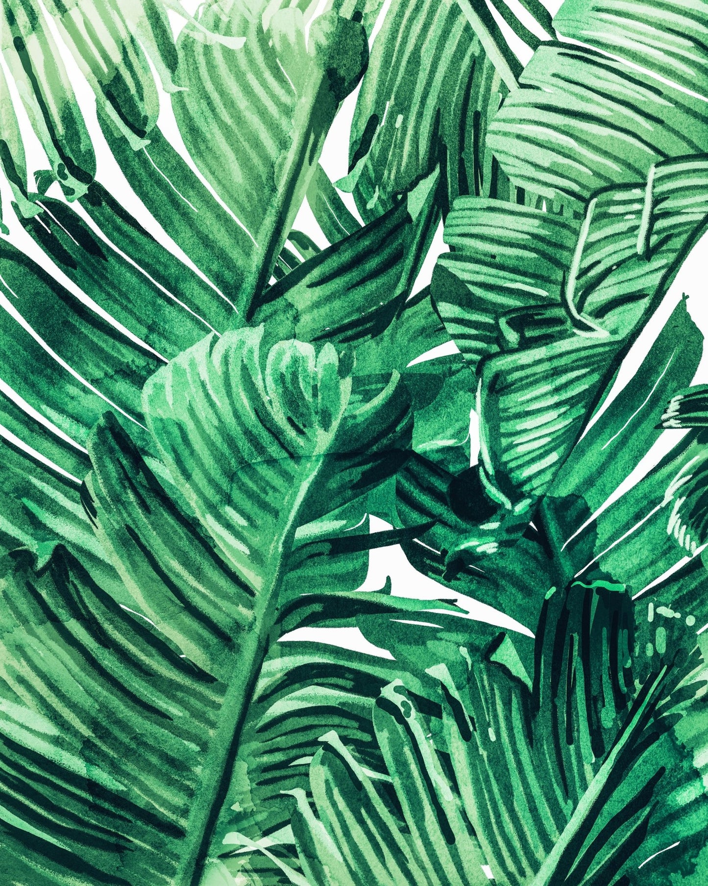 Green Tropical Leaves No1