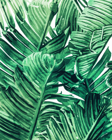 Green Tropical Leaves No1