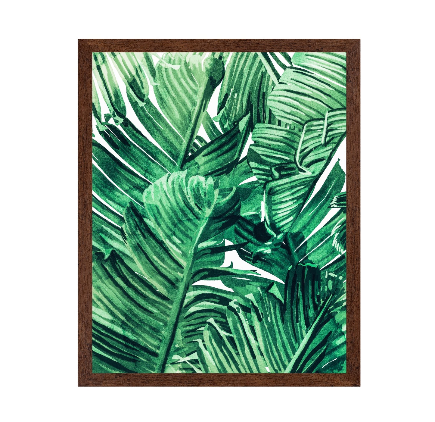 Green Tropical Leaves No1