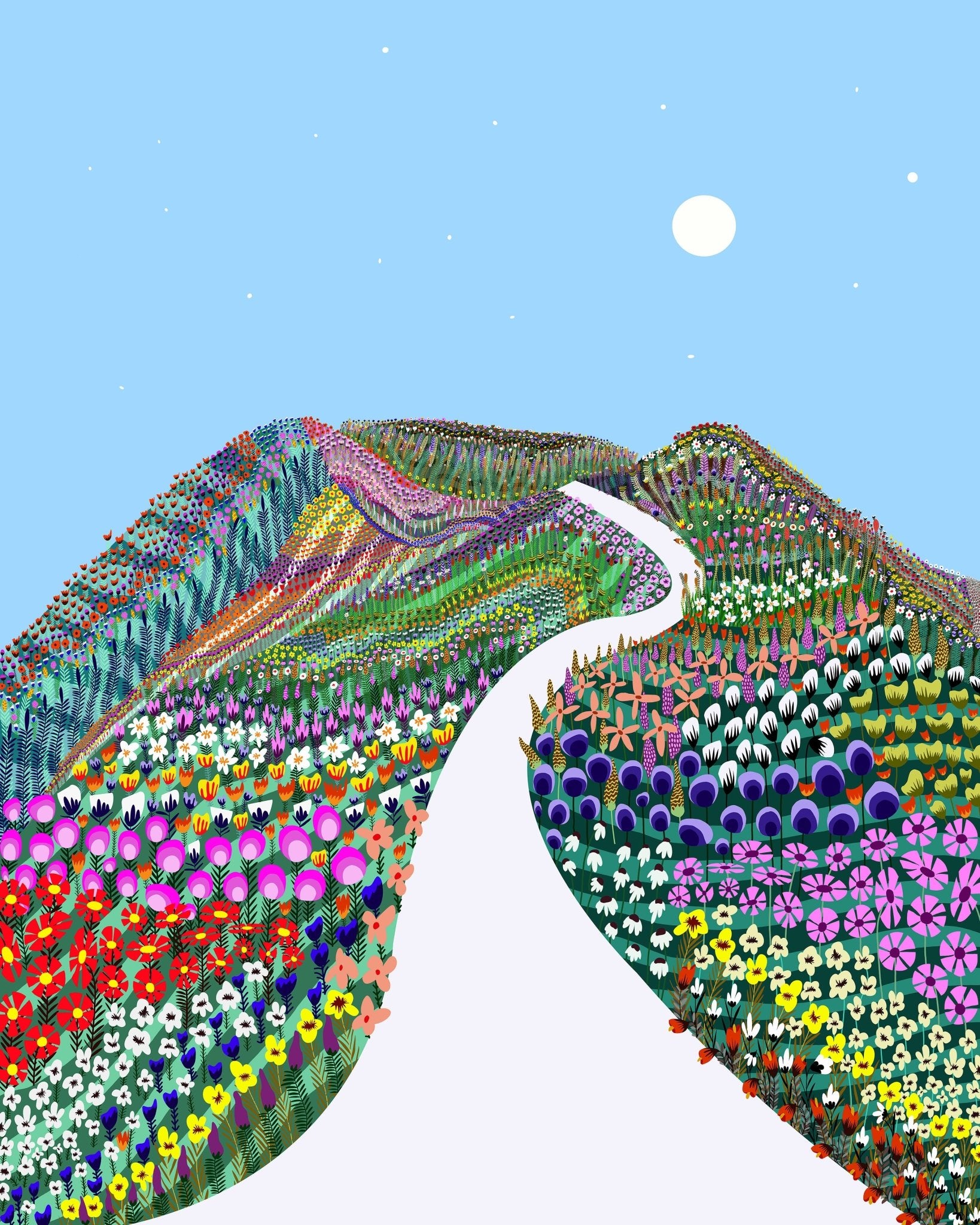 Floral Hills Path