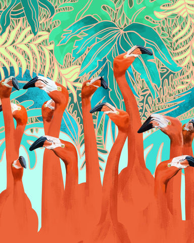 Flamingo Jungle Group