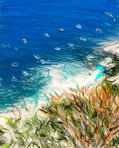 Coastal Ocean Shore