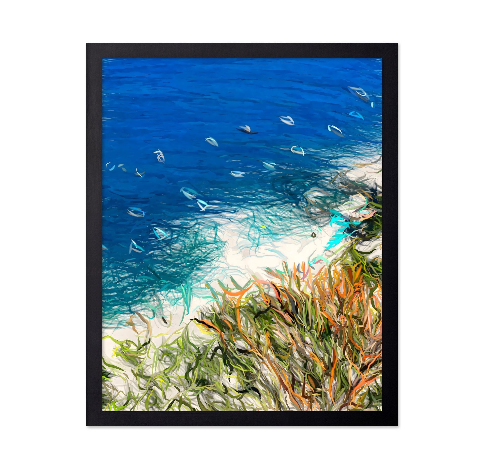 Coastal Ocean Shore