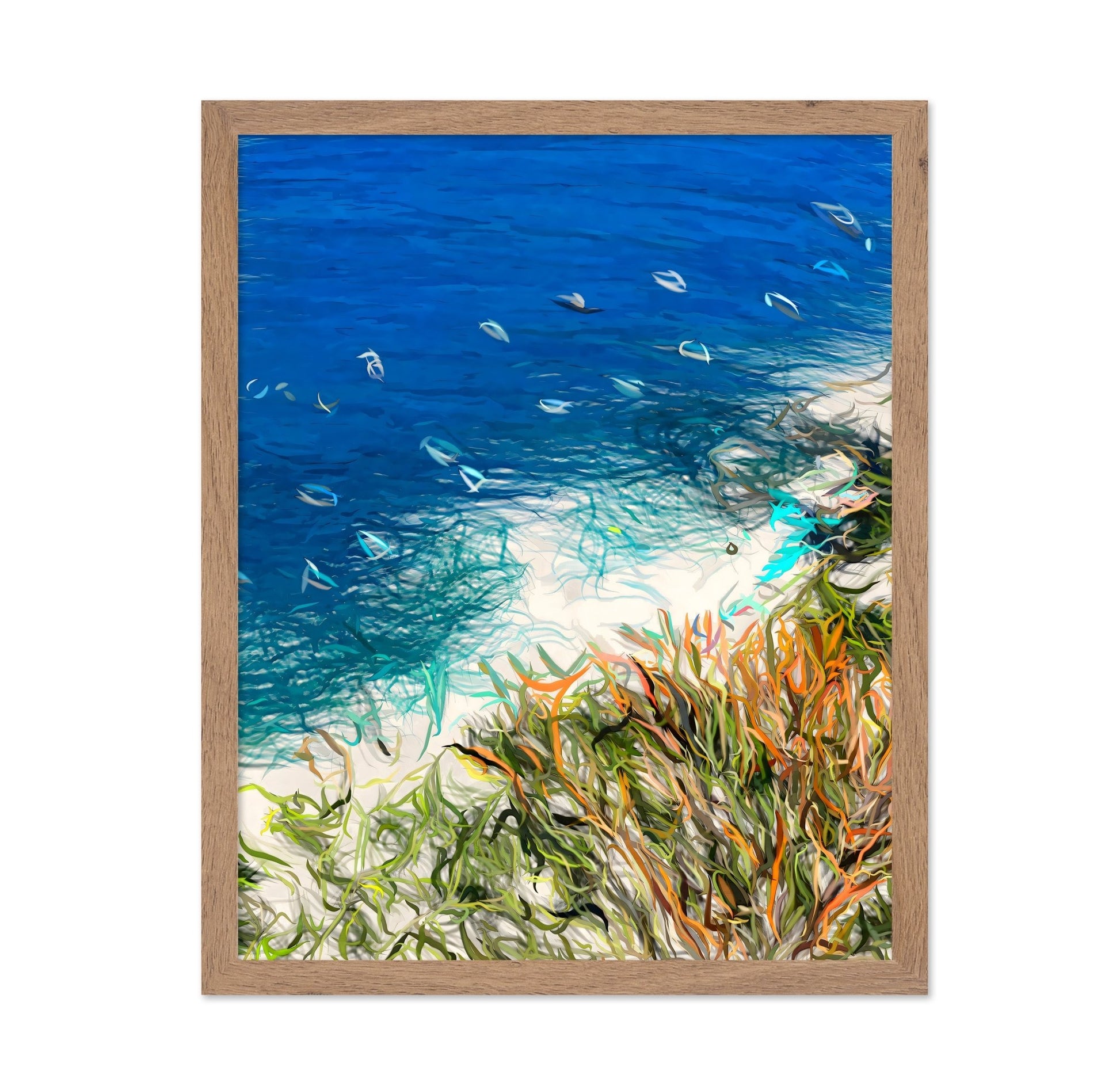 Coastal Ocean Shore
