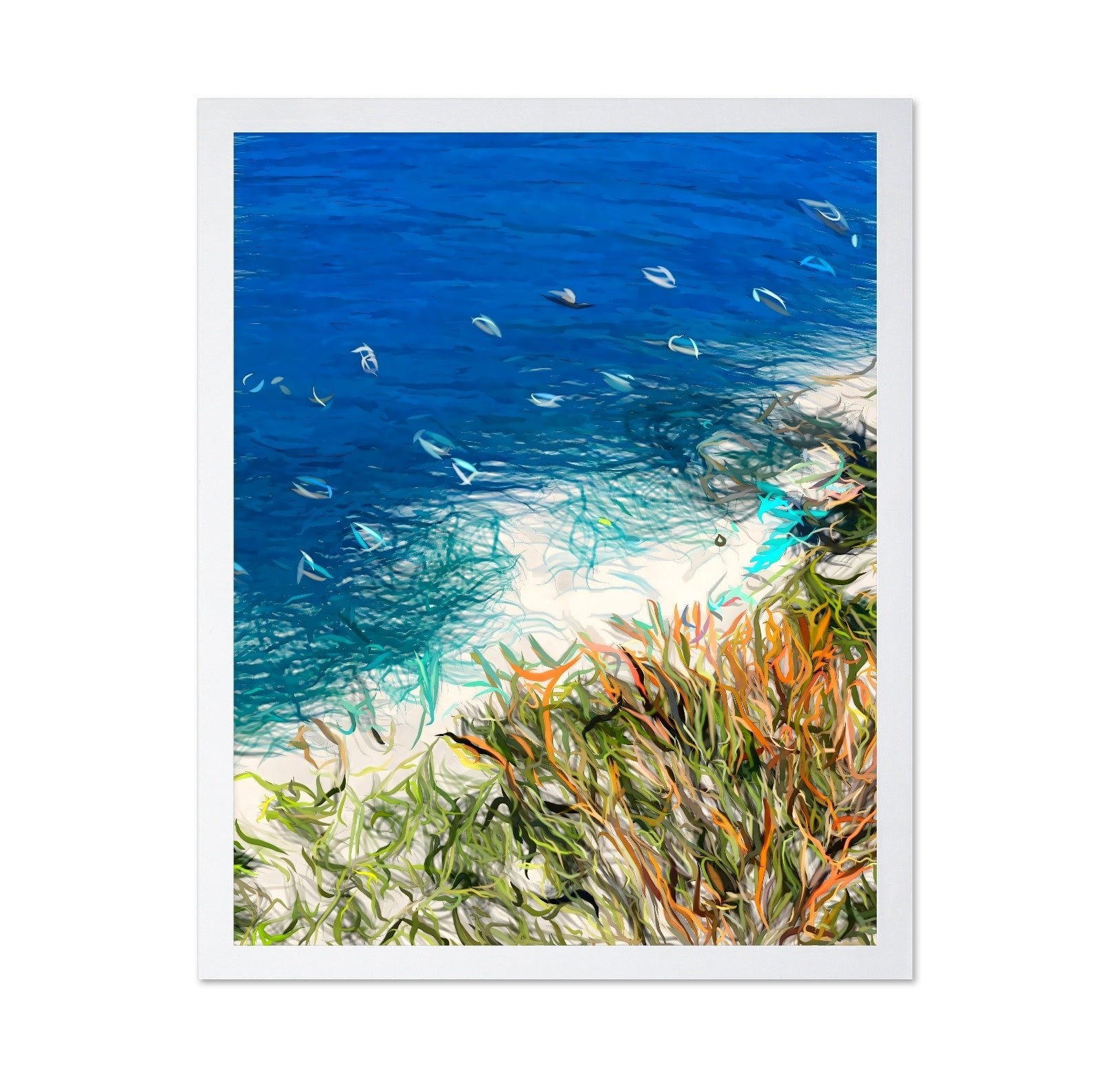 Coastal Ocean Shore
