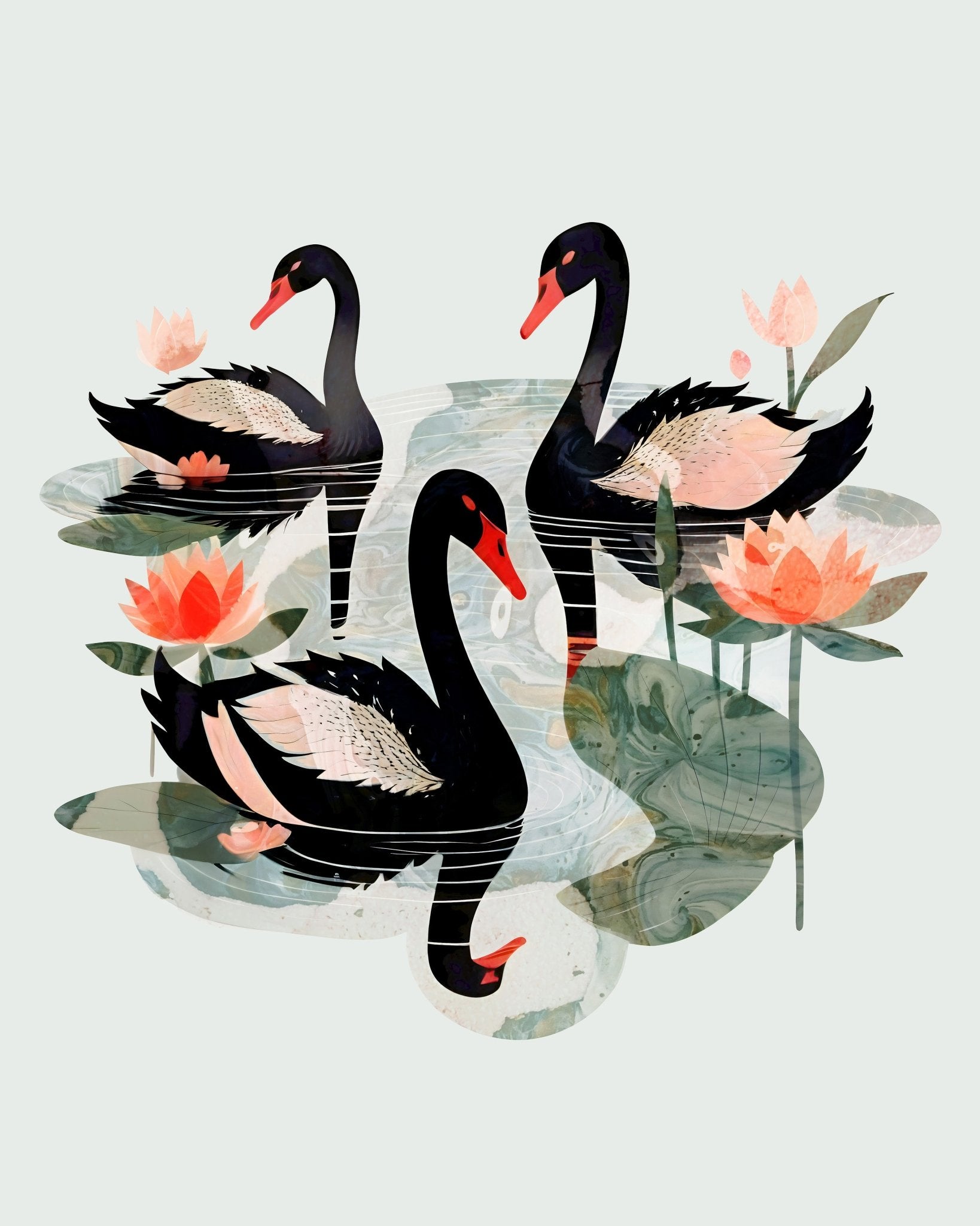 Black Swans Lotus