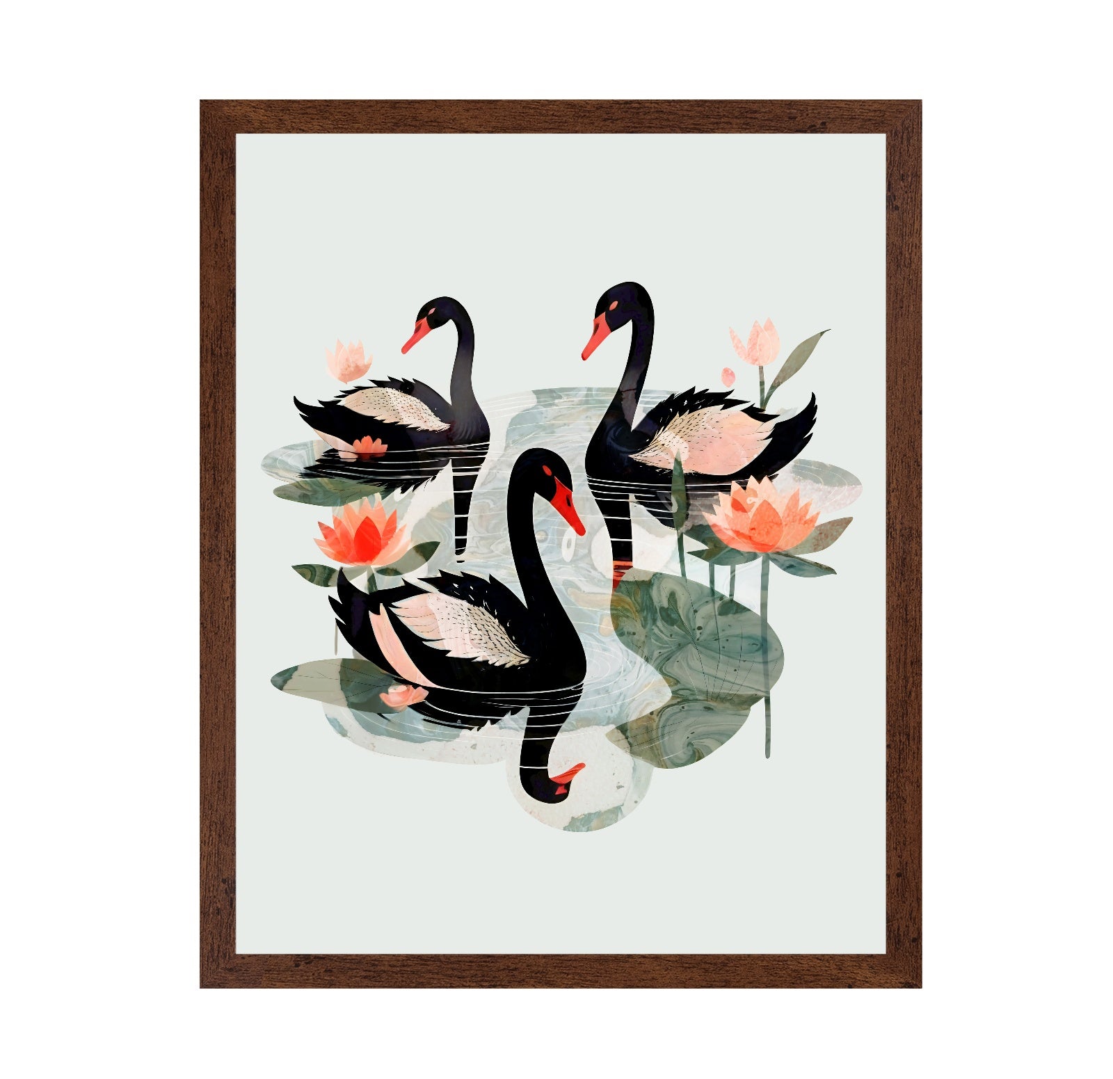 Black Swans Lotus