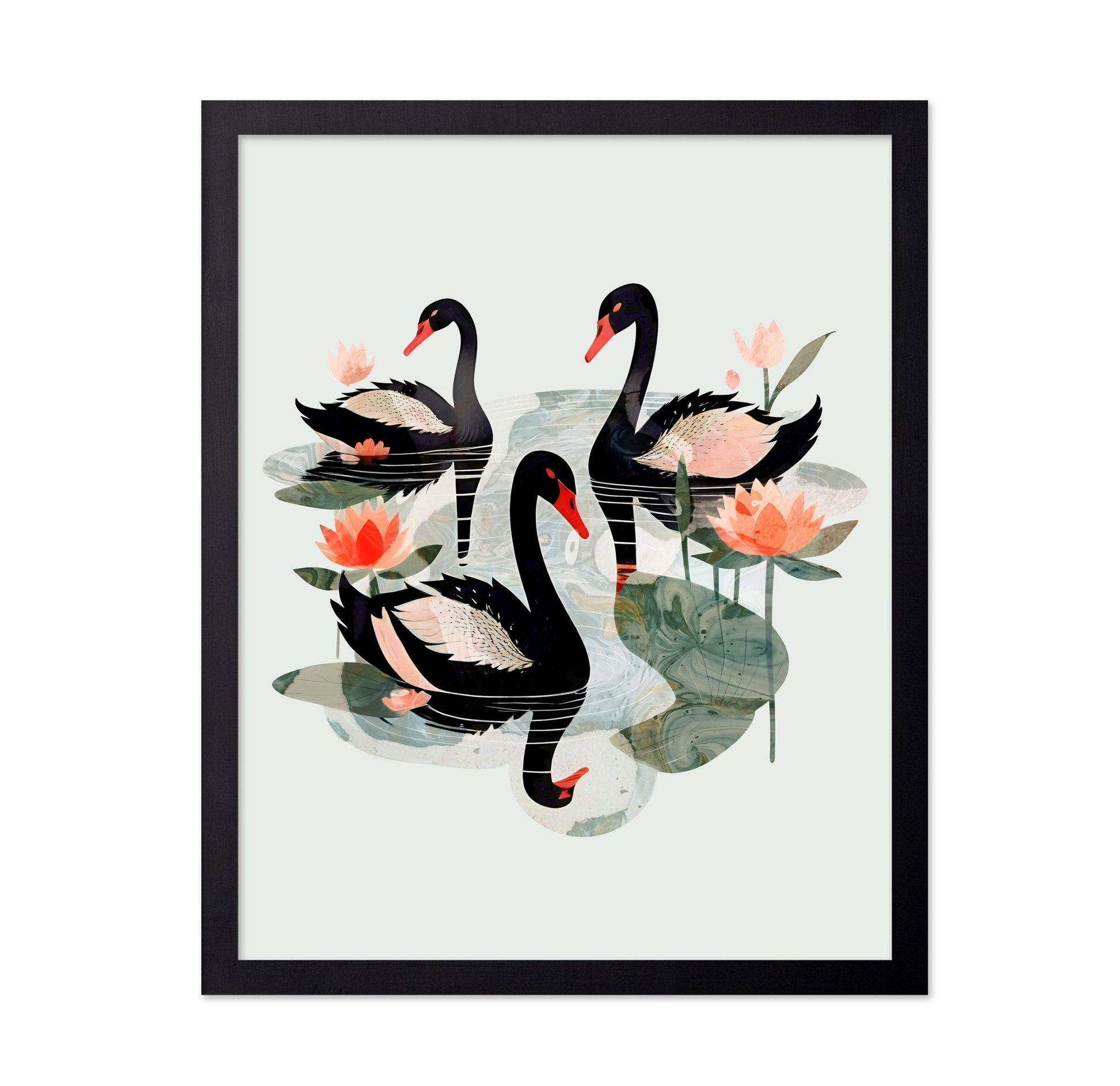 Black Swans Lotus