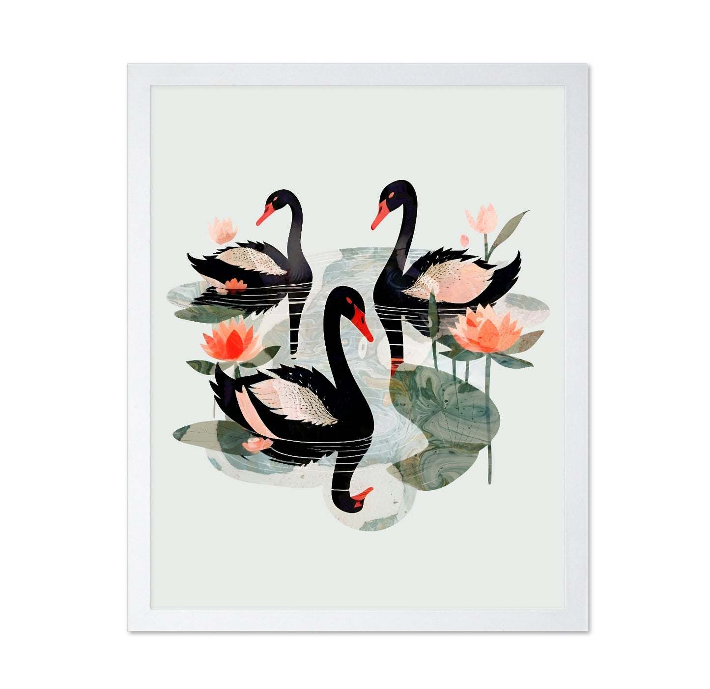 Black Swans Lotus